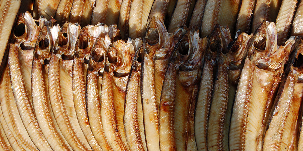 東海岸部落工作假期