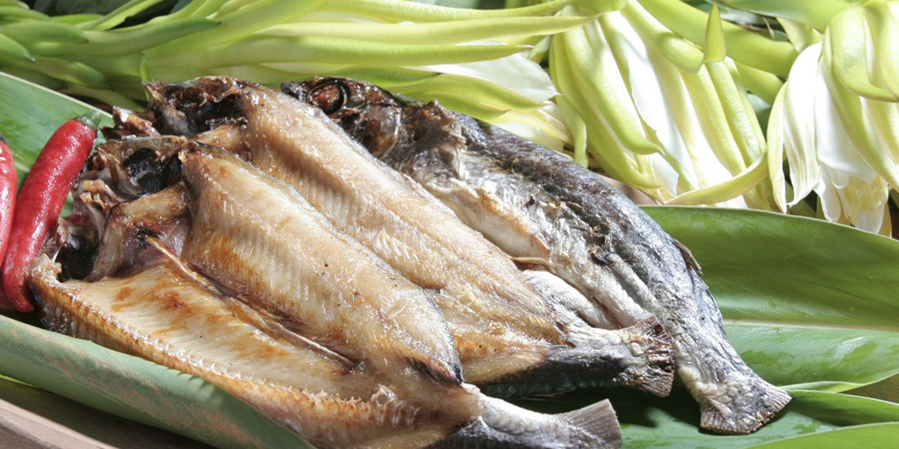 東海岸部落工作假期