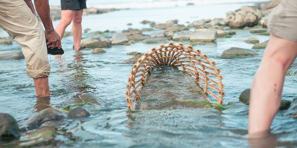 東海岸部落工作假期