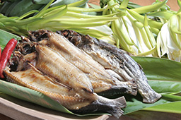 東海岸部落工作假期