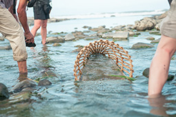 東海岸部落工作假期