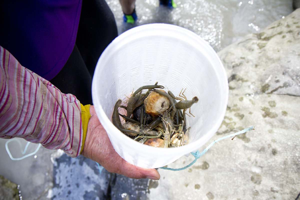 東海岸部落工作假期