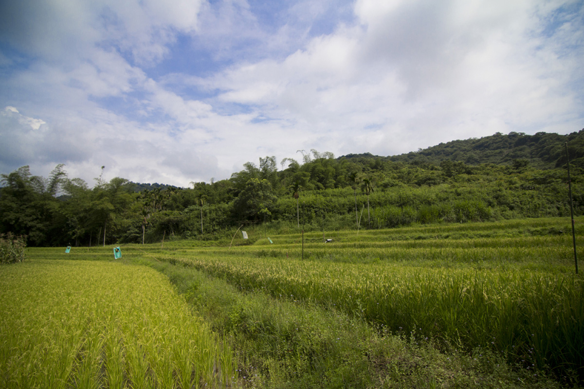 東海岸部落工作假期