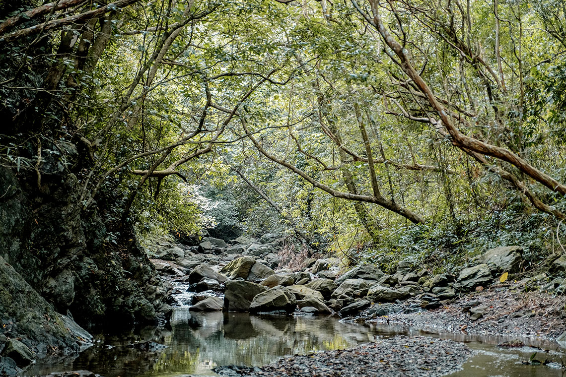 台東部落工作假期