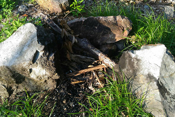 東海岸部落工作假期