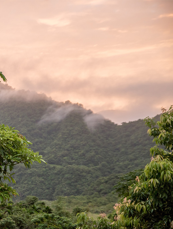 東海岸部落工作假期
