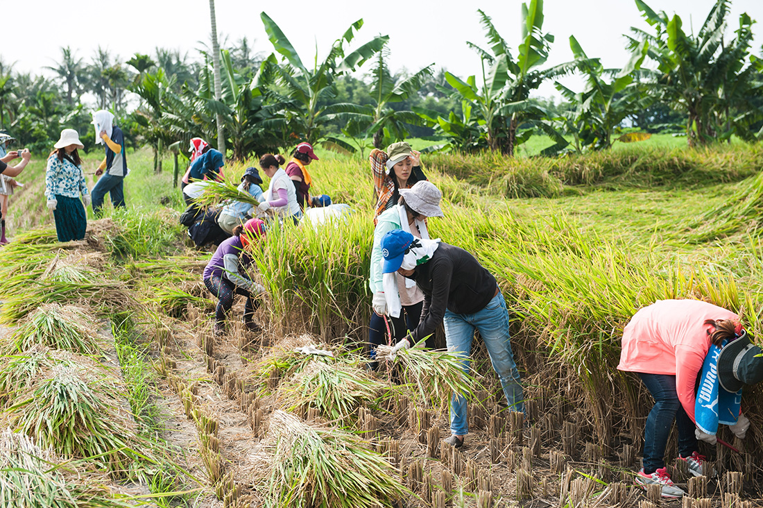 東海岸部落工作假期
