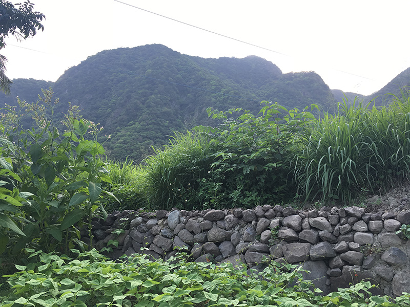 東海岸部落工作假期