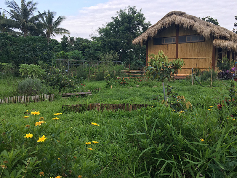 東海岸部落工作假期
