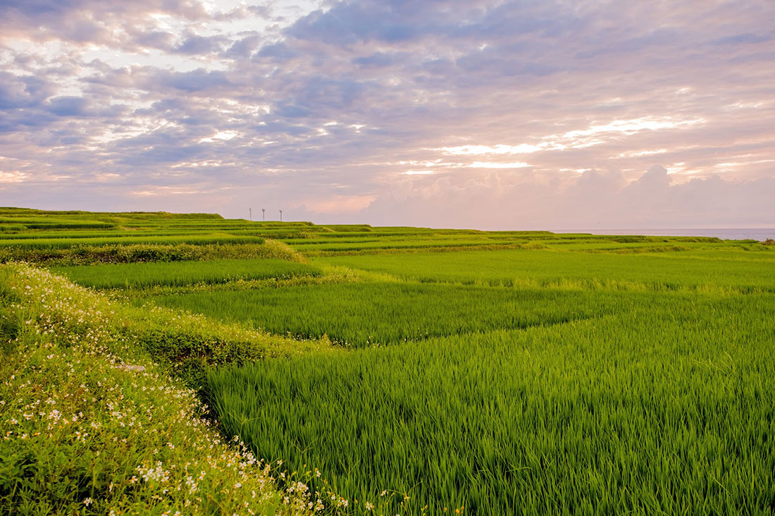 東海岸部落工作假期